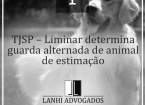 TJSP - Liminar determina guarda alternada de animal de estimação