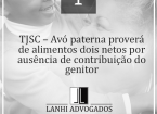 TJSC - Avó paterna proverá de alimentos dois netos por ausência de contribuição do genitor